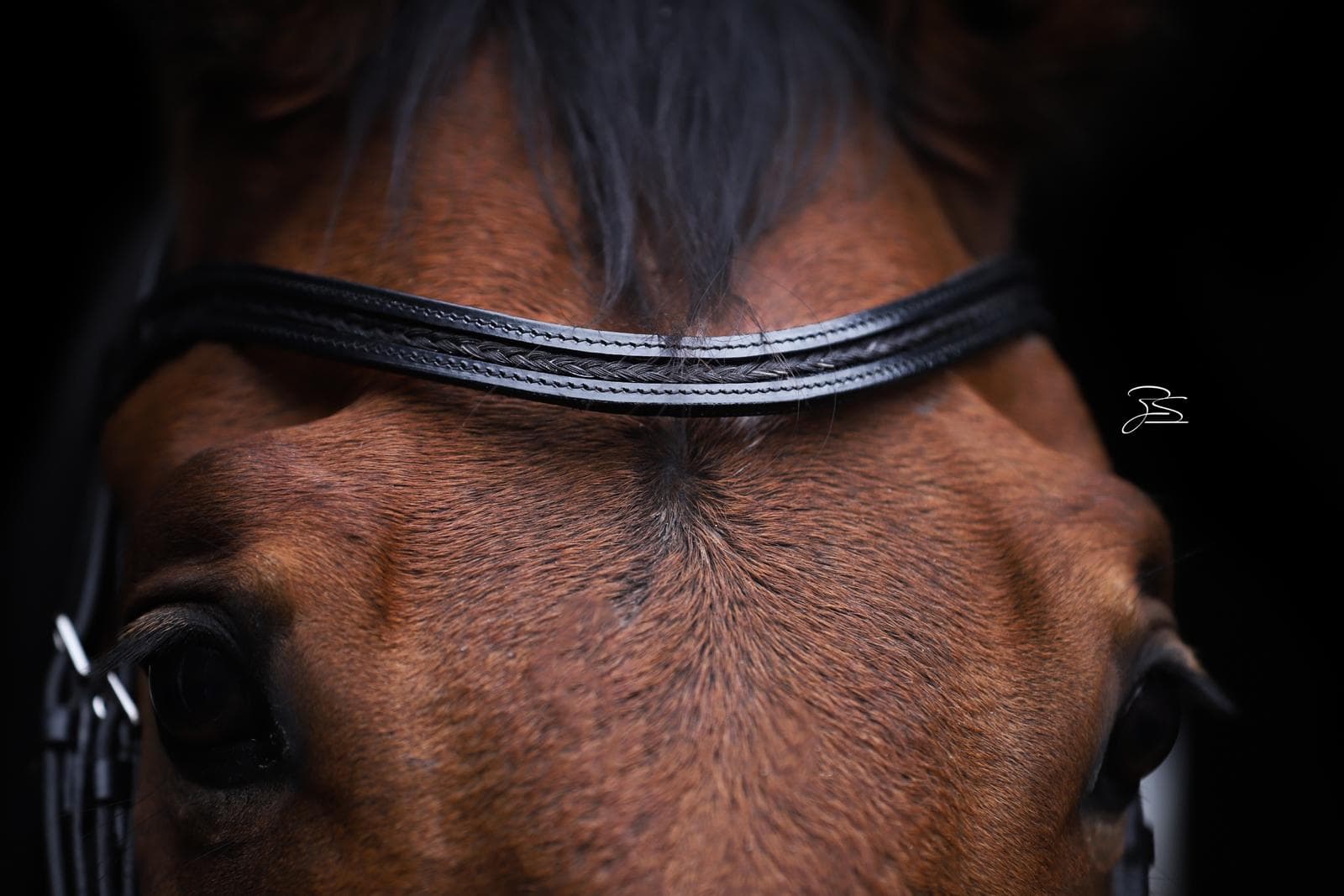 EquiTress logo