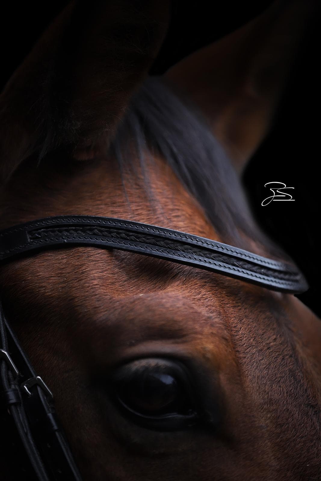 Foto van frontriem op paard
